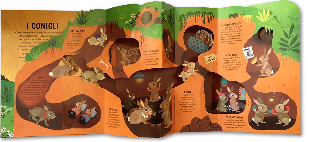 10 libri sugli animali per bambini: i migliori da regalare