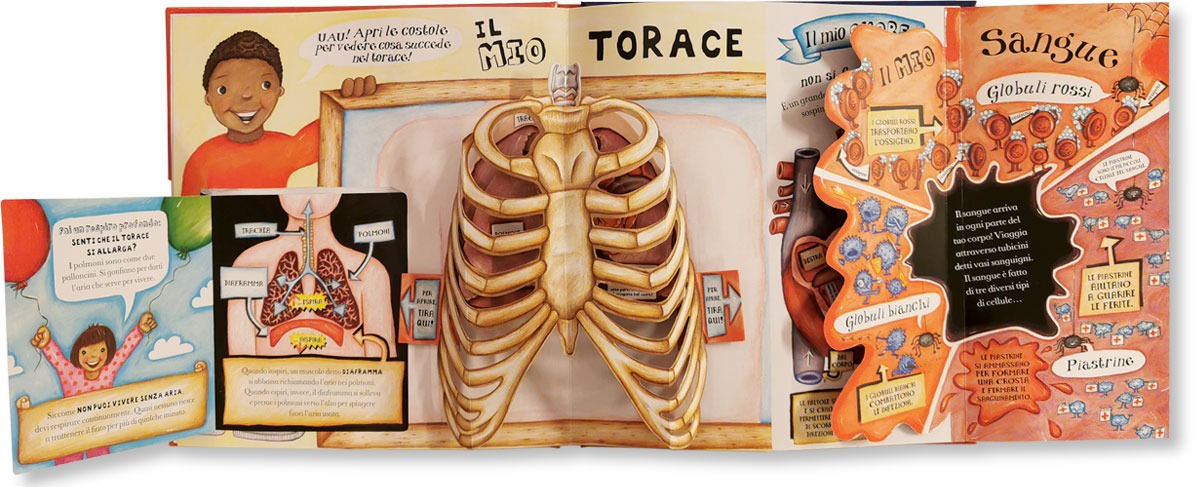 Grande libro pop-up del corpo umano: libro per bambini 5 anni